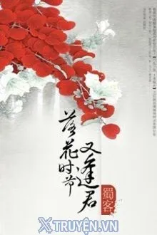 MÙA HOA RƠI GẶP LẠI CHÀNG