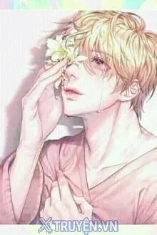Toi Yeu Anh Ay