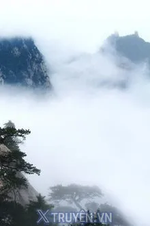 TU ĐẠO