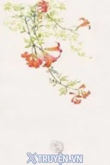 LIÊN LIÊN