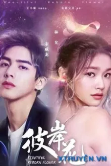 12 CHÒM SAO VÀ CHUYẾN ĐI VÀO THẾ GIỚI QUÁI LẠ