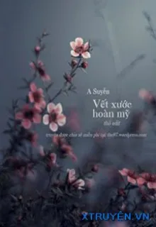 VẾT XƯỚC HOÀN MỸ