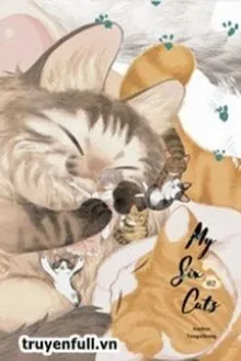 SÁU CON MÈO TRANH NHAU MUỐN NUÔI TA