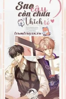 SAO CẬU CÒN CHƯA THÍCH TỚ