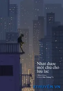 NHẶT ĐƯỢC MỘT CHÚ CHÓ LƯU LẠC