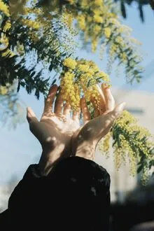 TRỌNG SINH VỀ NGÀY TUỔI CÒN ĐÔI MƯƠI