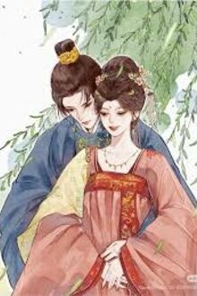 Bat Dau Hop Hoan Tong Bi Su Ty Bat Chet Mach Mau