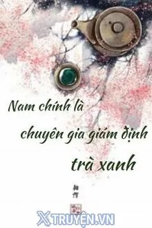 NAM CHÍNH LÀ CHUYÊN GIA GIÁM ĐỊNH TRÀ XANH XUYÊN NHANH