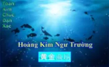 HOÀNG KIM NGƯ TRƯỜNG