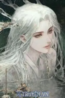 PHI ĐIỂN HÌNH THẾ THÂN