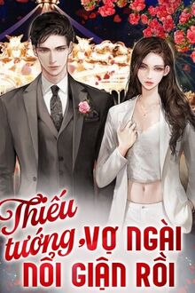 Thiếu Tướng, Vợ Ngài Nổi Giận Rồi