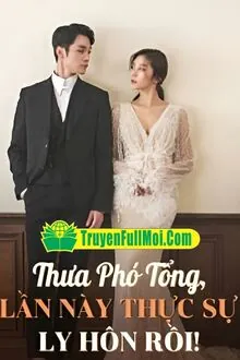 Thưa Phó Tổng, Lần Này Thực Sự Ly Hôn Rồi!