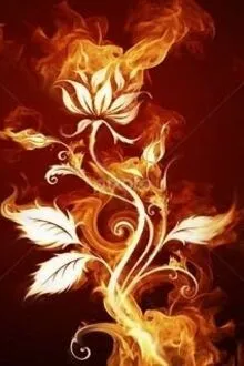 Sống Cùng Người Yêu Cũ - Nhất Oản Lương Diện Đa Phóng Lạp