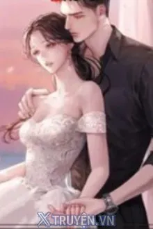 HỆ THỐNG: TÌM CHỒNG & HẢO CẢM ÂN ÁI