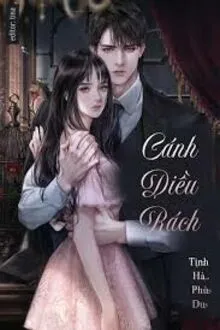 CÁNH DIỀU RÁCH