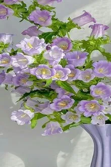 GẶP GIỮA MÙA HÈ