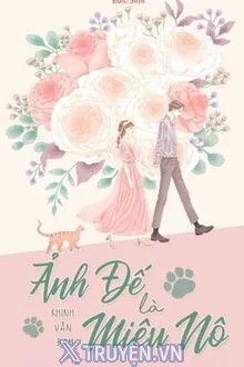 ẢNH ĐẾ LÀ MIÊU NÔ