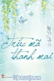 TRÚC MÃ THANH MAI