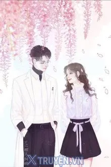 MỐI TÌNH ĐẦU ĐẬU HỦ HOA