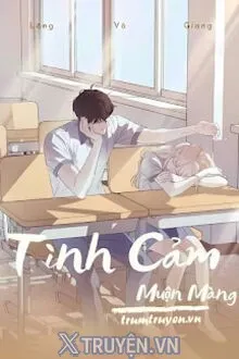 TÌNH CẢM MUỘN MÀNG