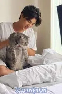 BẠN TRAI MEO MEO CỦA TÔI