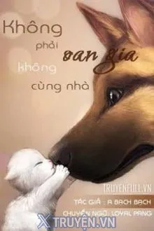 KHÔNG PHẢI OAN GIA, KHÔNG CHUNG NHÀ